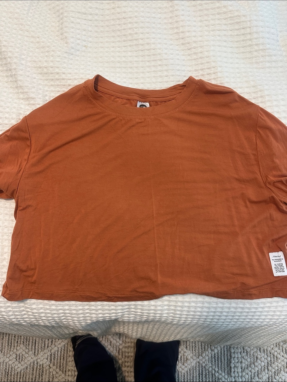 Thrive Rust Cropped Crew Neck Tee
